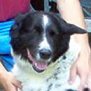 Skippy was adopted in November, 2004